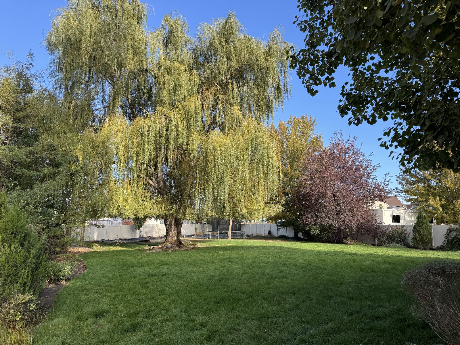 Main image 11