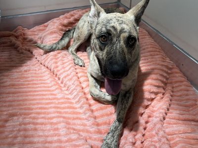 Hello my name is Florenza