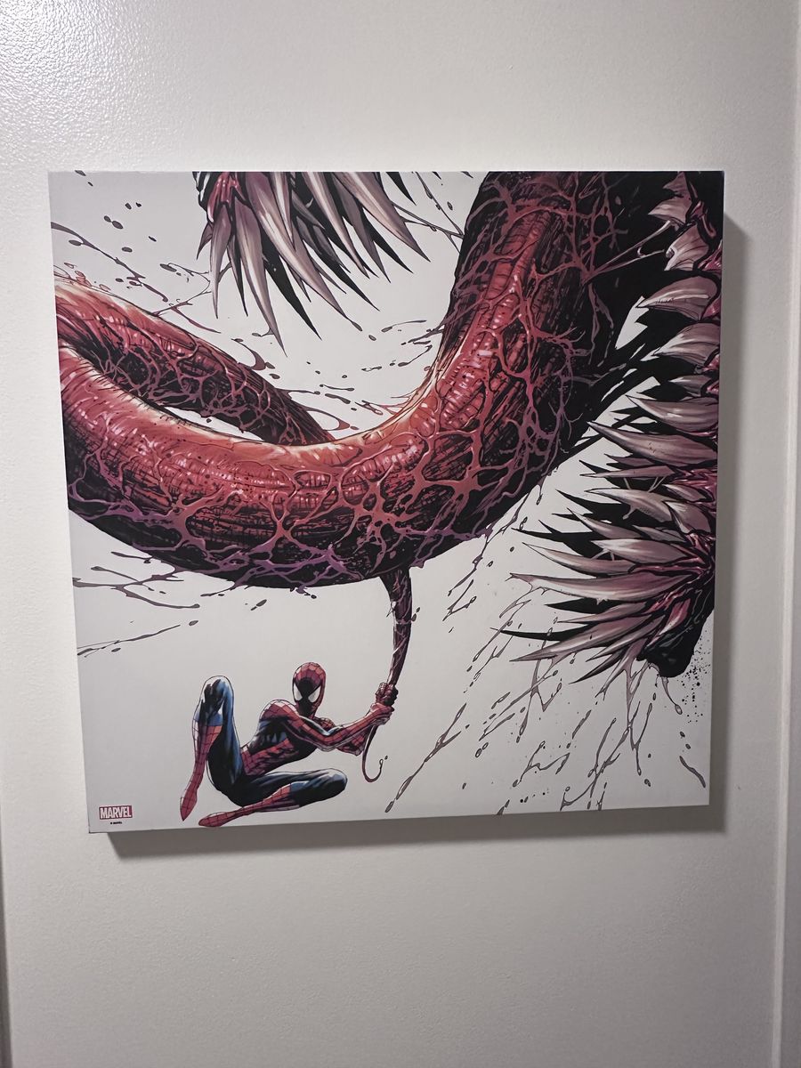 Spiderman Canvas