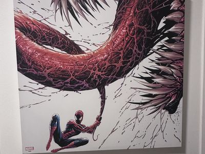 Spiderman Canvas