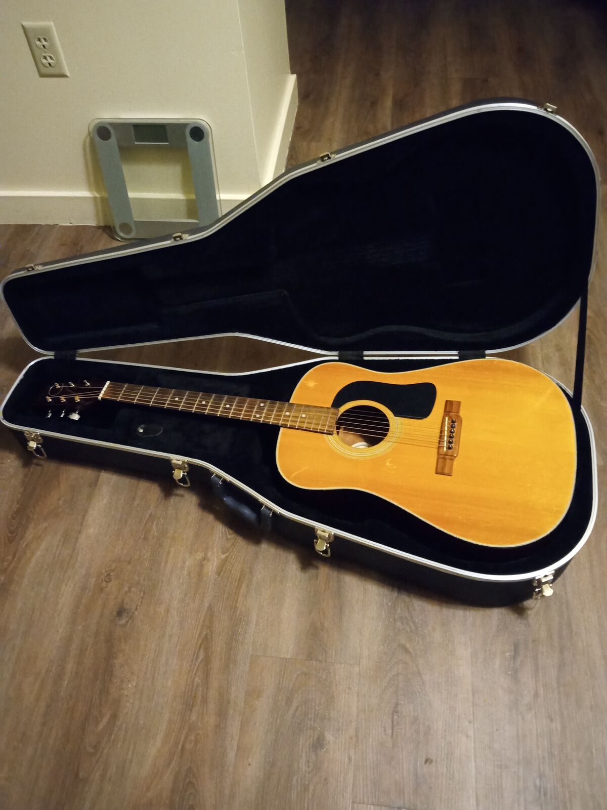 Washburn guitar with luxury Washburn case