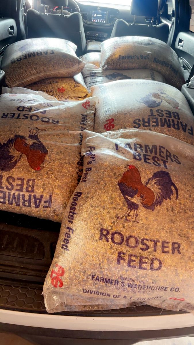 Chicken feed / comida de gallos
