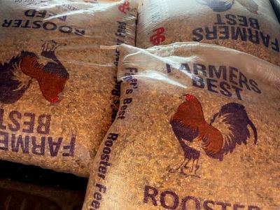 Chicken feed / comida de gallos