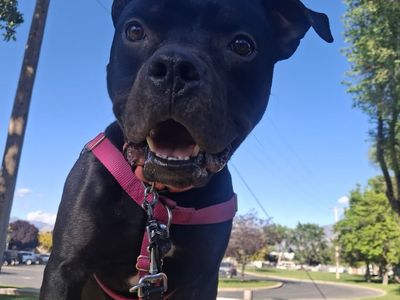 Hello my name is Otis