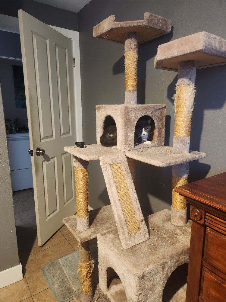 Multi-Level Carpeted Cat Tree Tower with Scratching Posts and Condos
