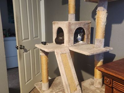 Multi-Level Carpeted Cat Tree Tower with Scratching Posts and Condos
