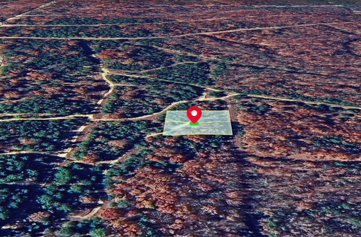 Main image 6