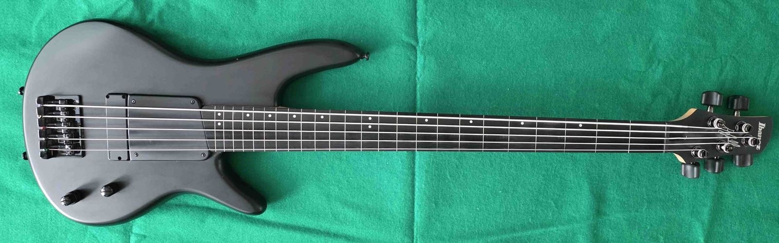 Electric Bass    5 string fretless