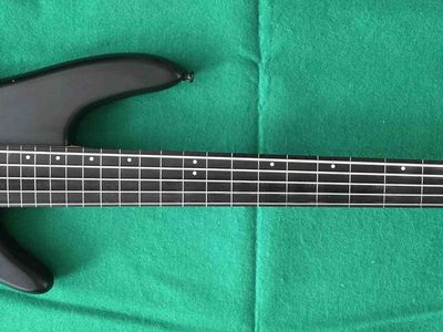 Electric Bass 5 string fretless