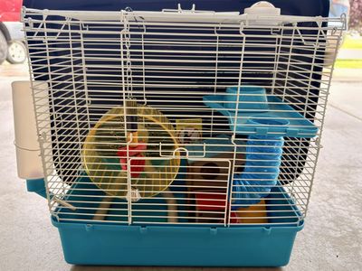 Hamster/Gerbil Cage & Accessories: Vitakraft Food, Nibble Rings, Hamster Ball