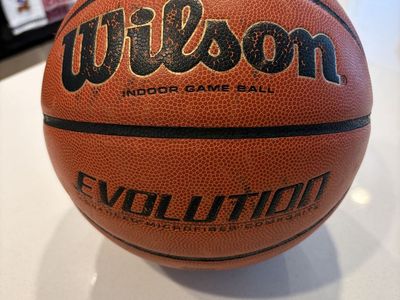 Wilson Evolution Indoor Game Basketball - Advanced Microfiber Composite