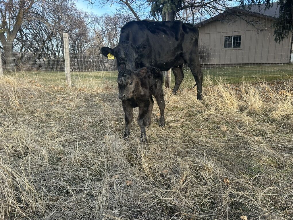 In Search of Land To Lease