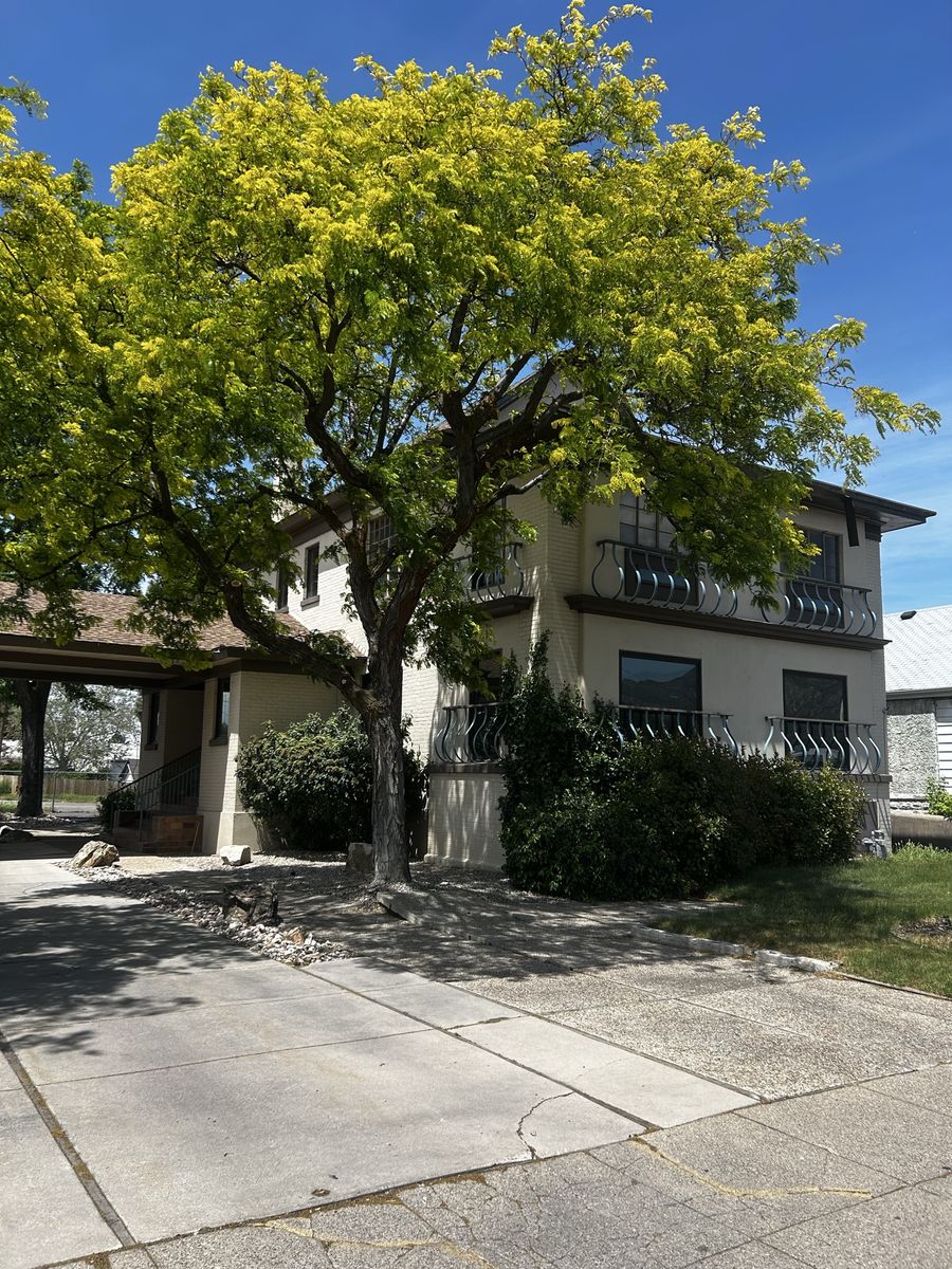 Professional Office Space for Rent – $600/Month