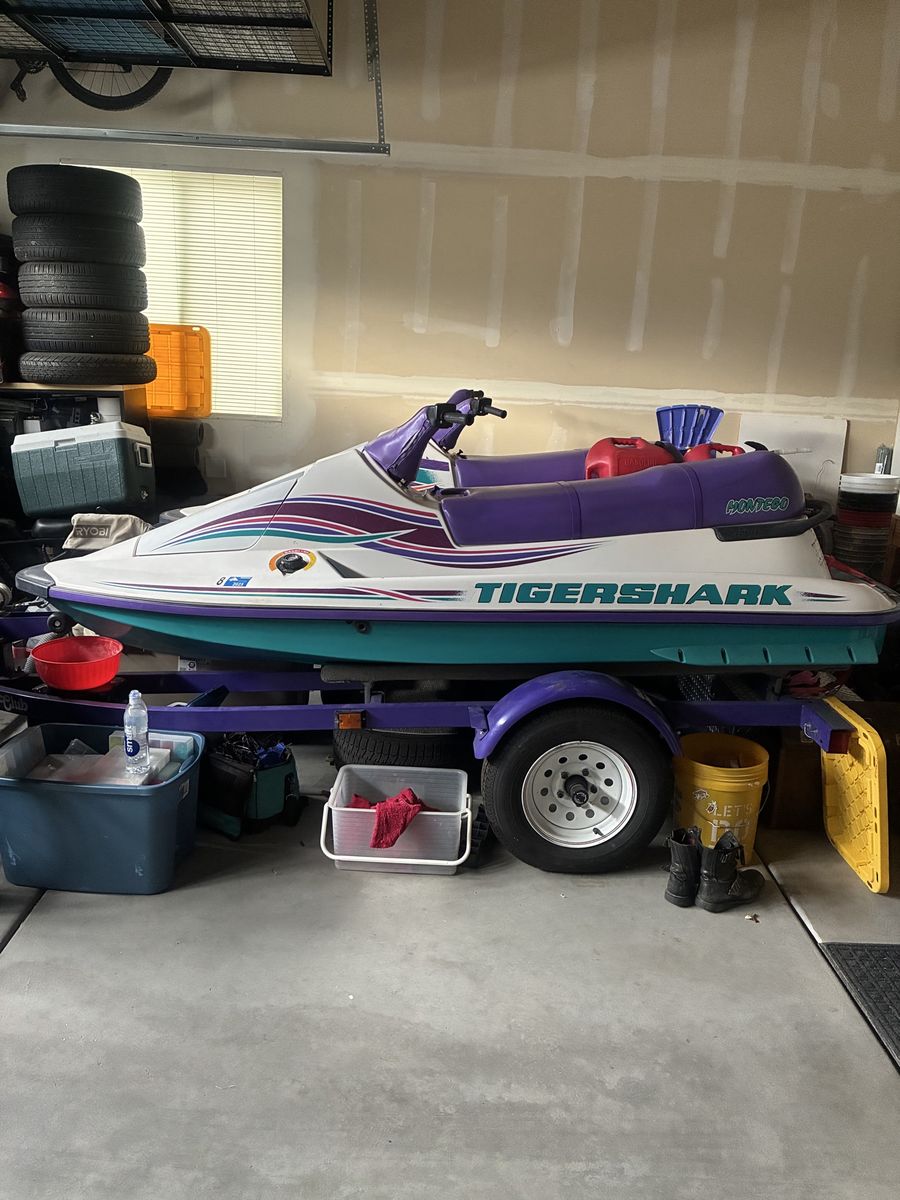 1995 TigerSharks