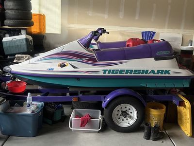 1995 TigerSharks