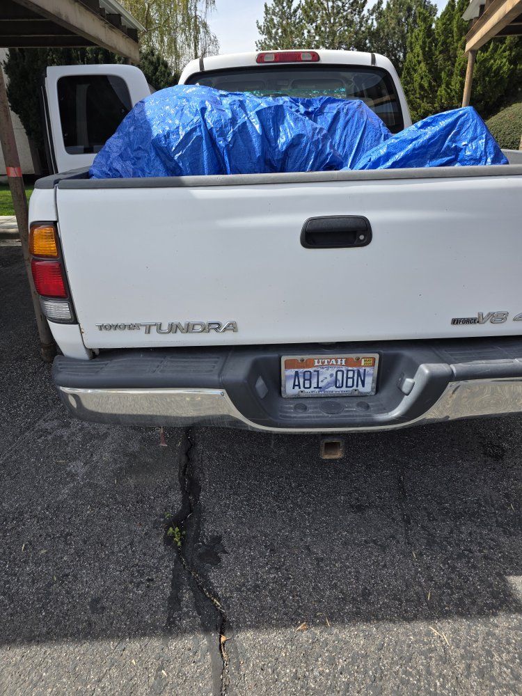 Main image 8