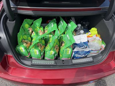 IAMS Small Breed Chicken & Whole Grain (9-pack)