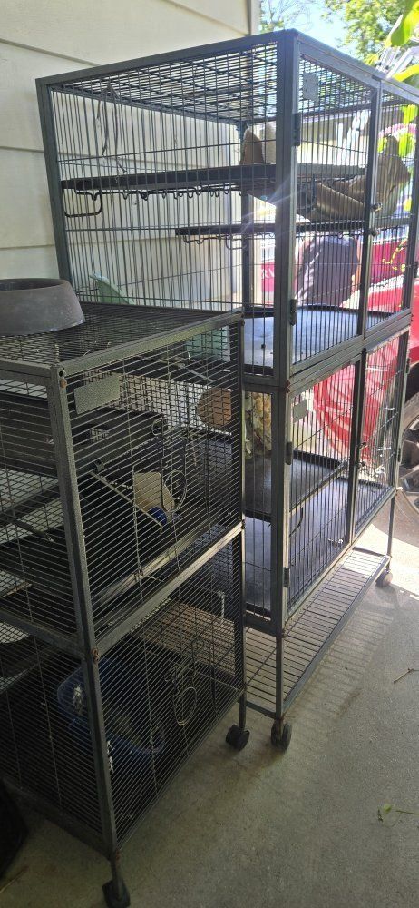 ferret cage