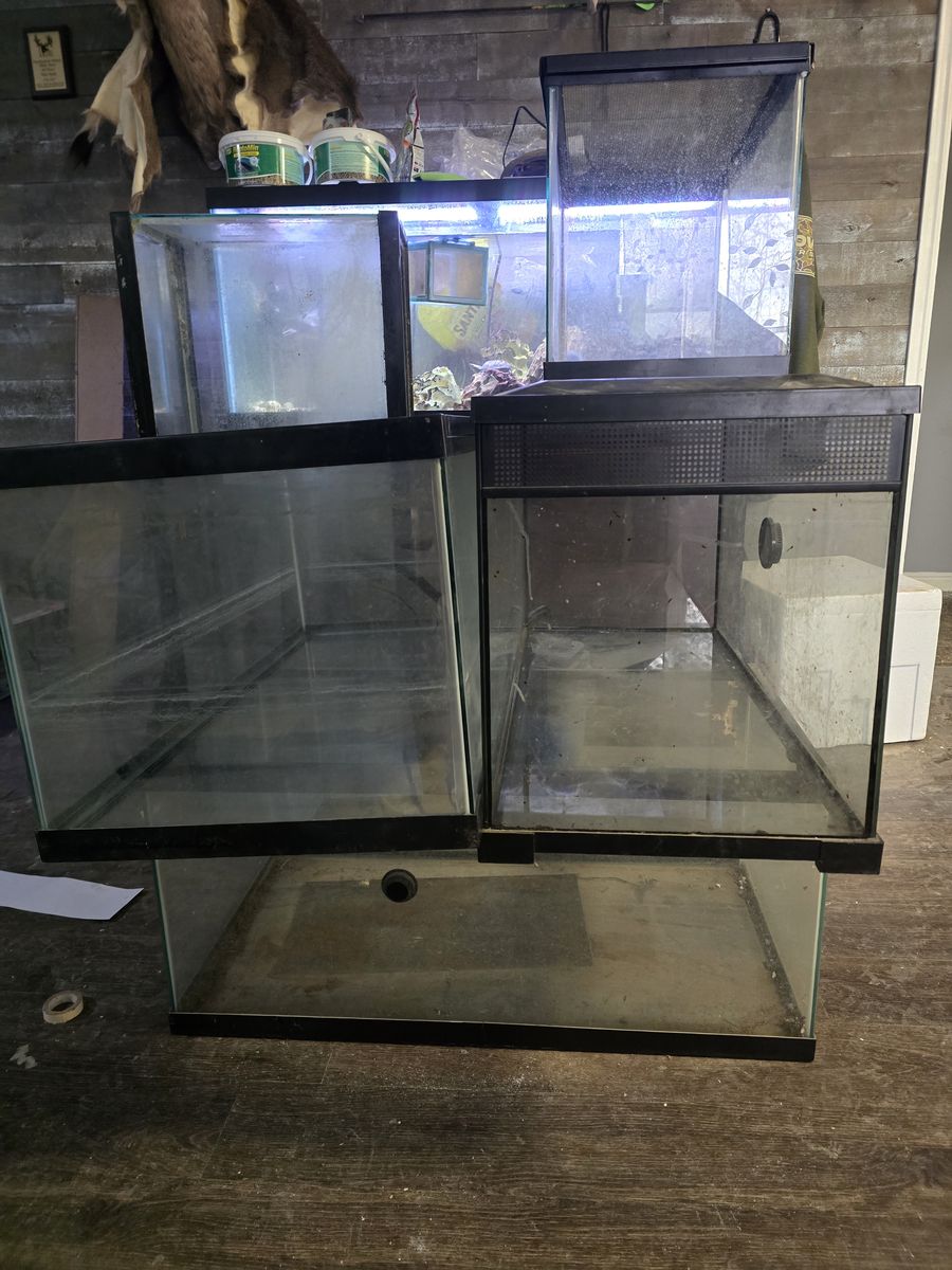 Reptile/fish tanks