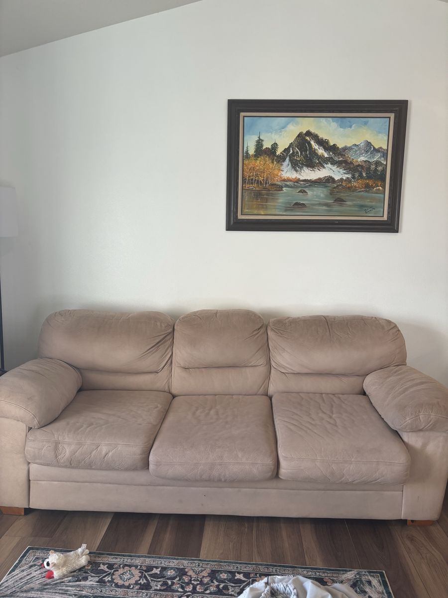 Main image 7