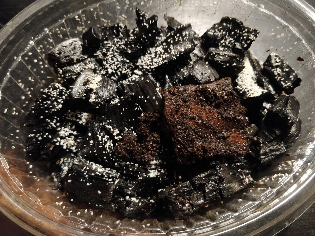 Springtail Starter Colony