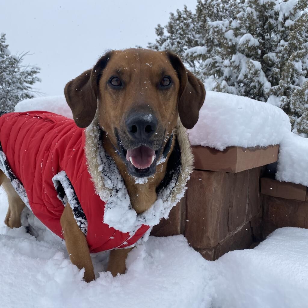 Hello my name is Chad