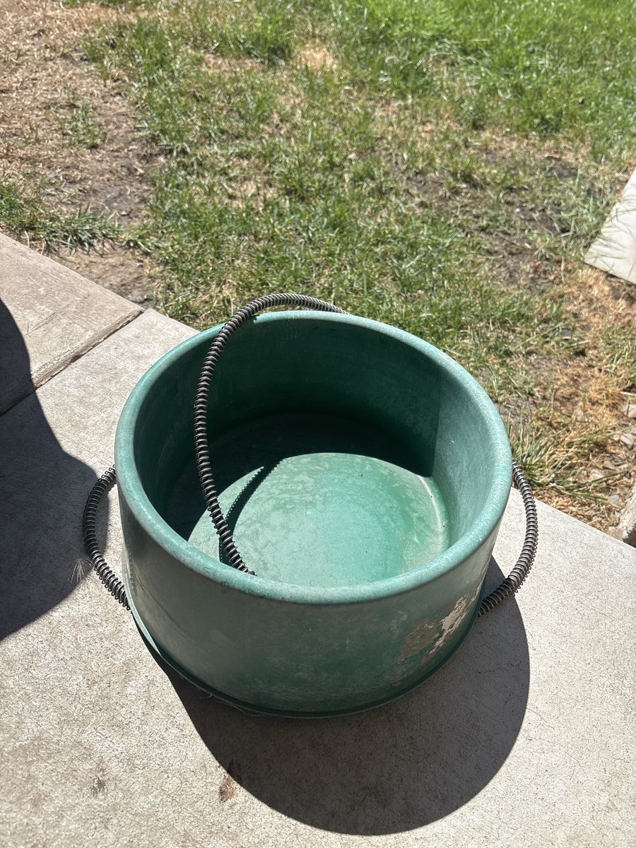 Heated Dog Bowel 