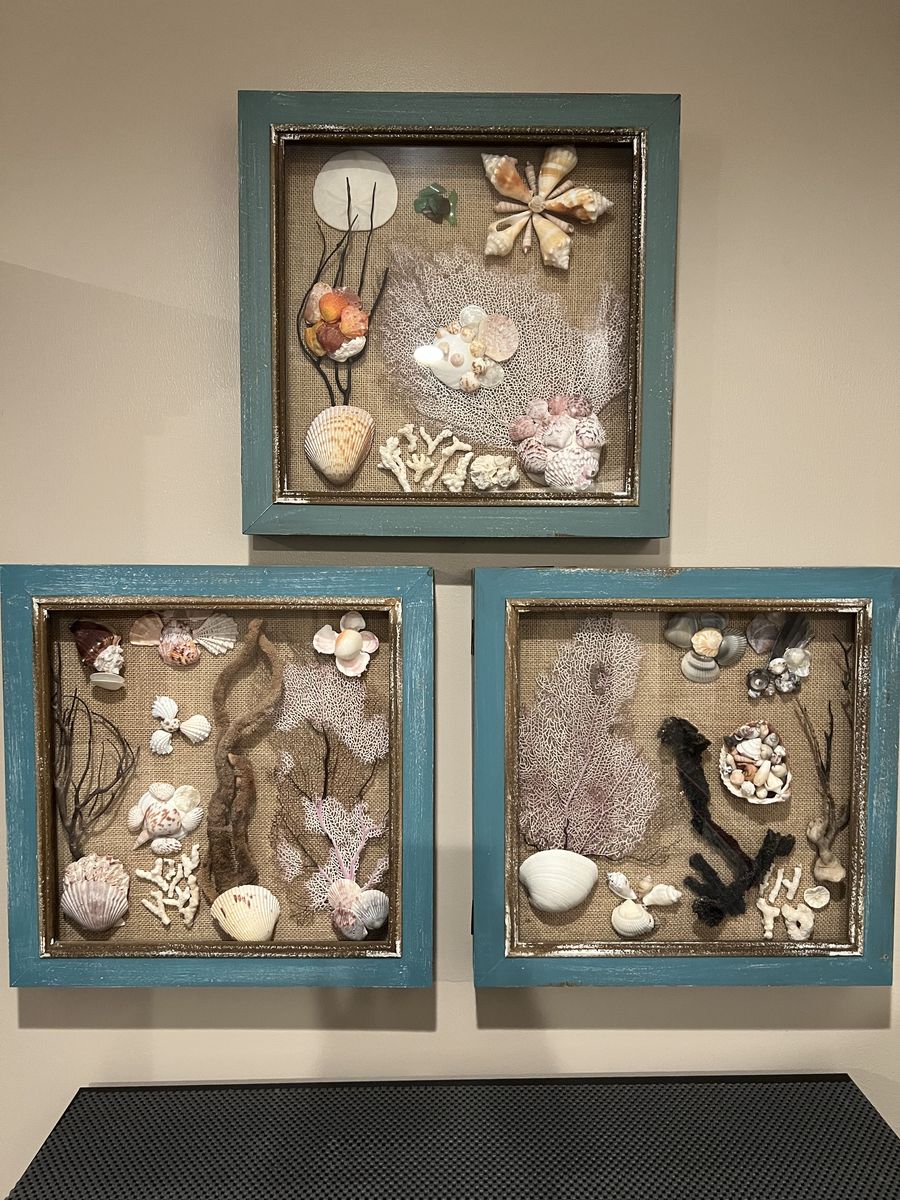 Sea Life Wall Art Set of 3