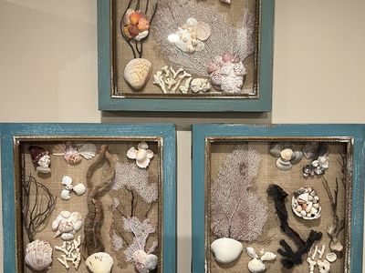 Sea Life Wall Art Set of 3