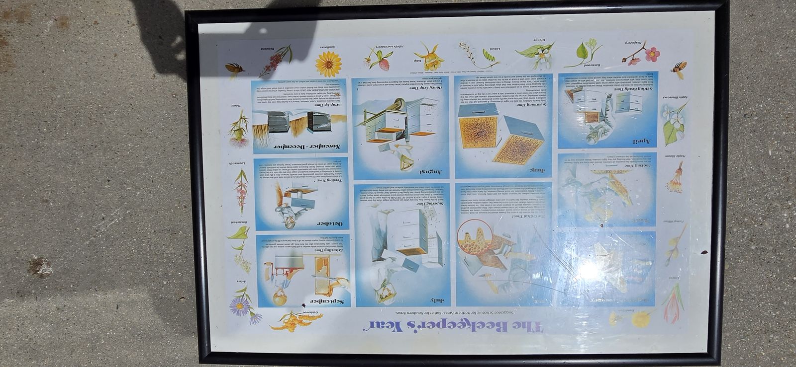 Main image 2