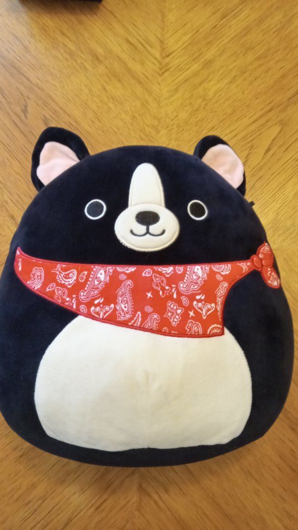 Large 16" Original Squishmallows Dog Teddy the Boston Terrier Plush