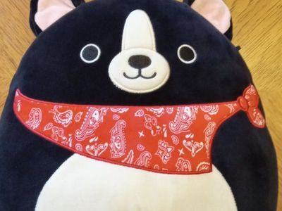 Large 16" Original Squishmallows Dog Teddy the Boston Terrier Plush