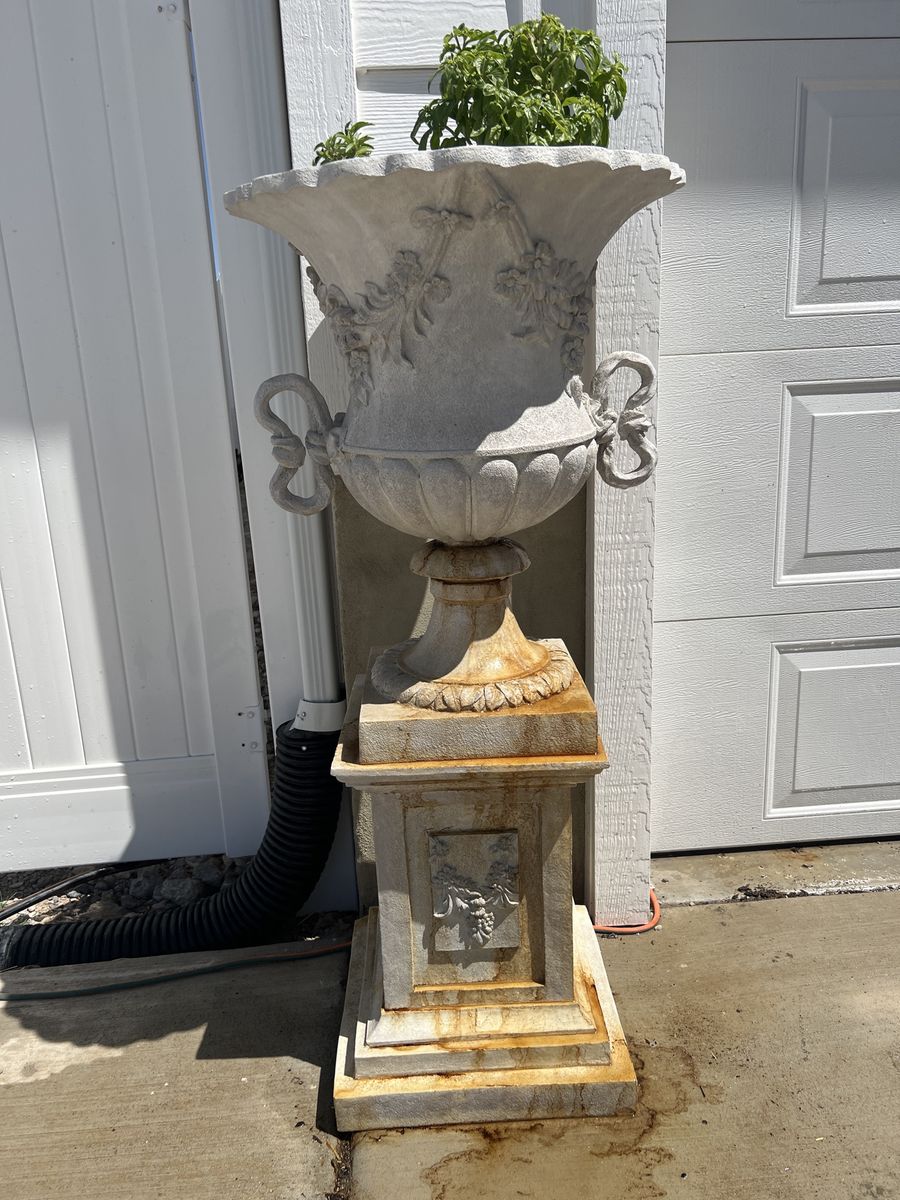 Main image 6