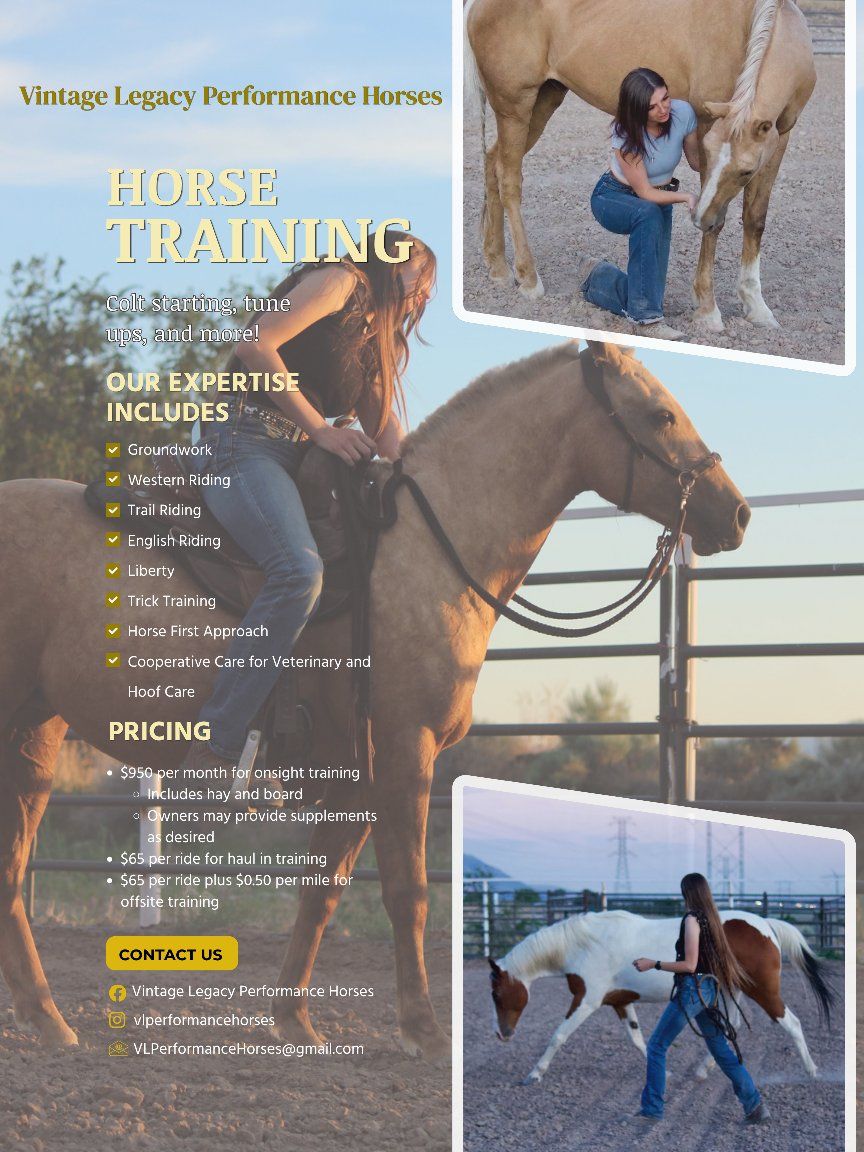 Horse Training