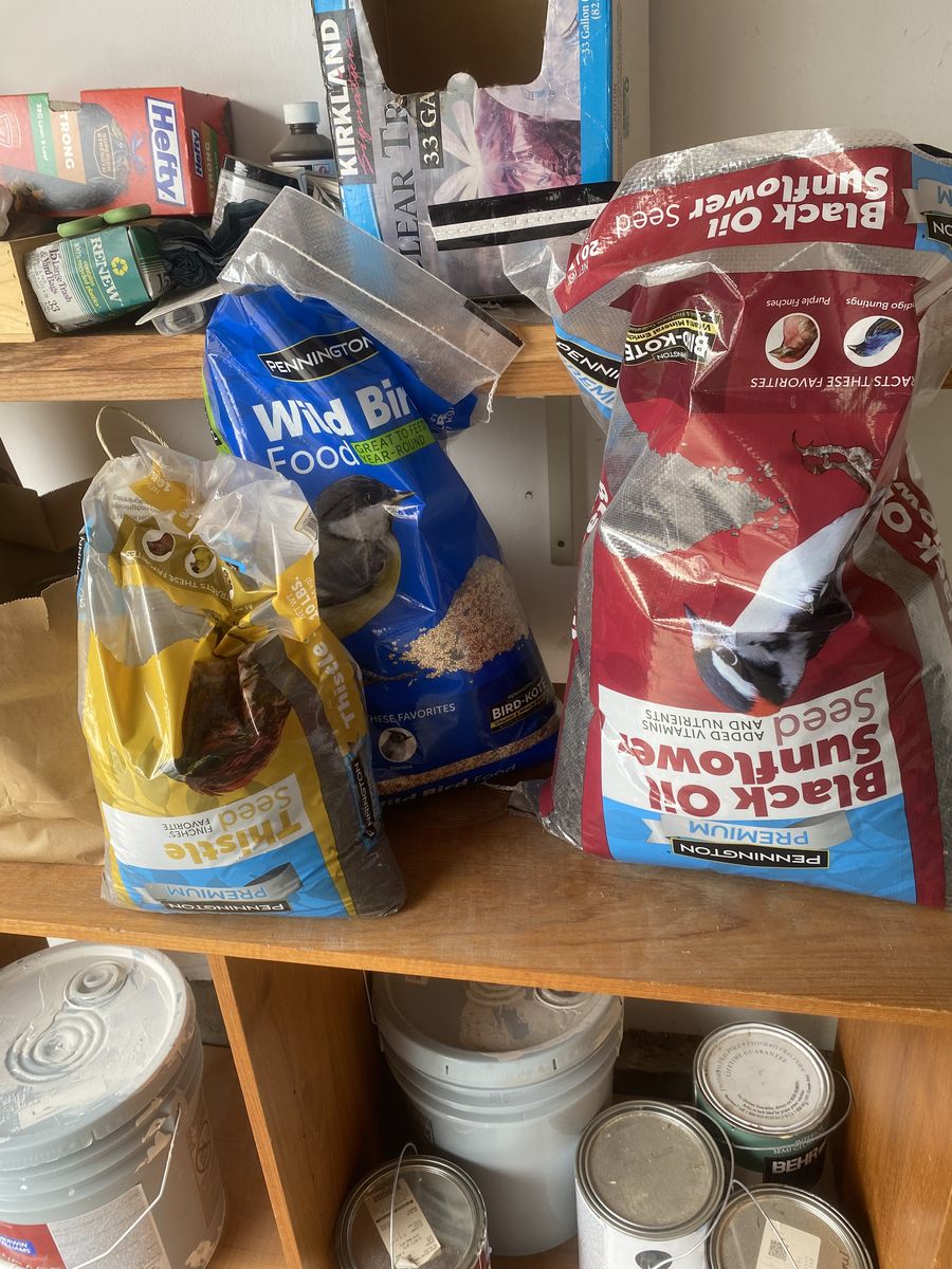 Wild bird seed