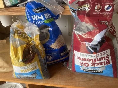 Wild bird seed