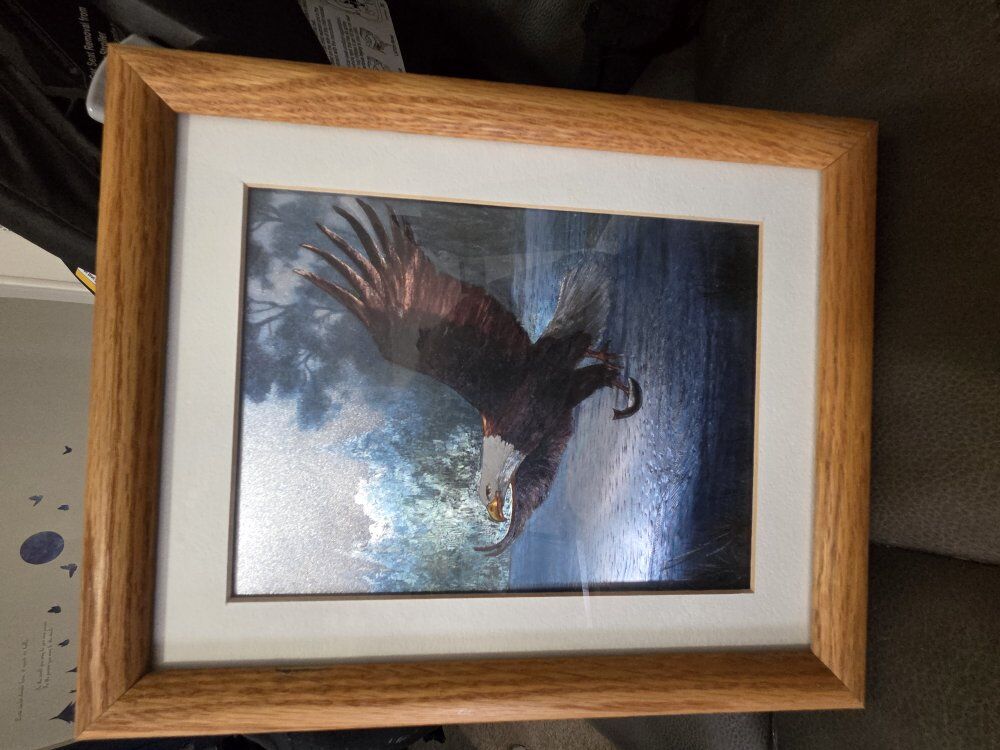 m caroselli native foil art