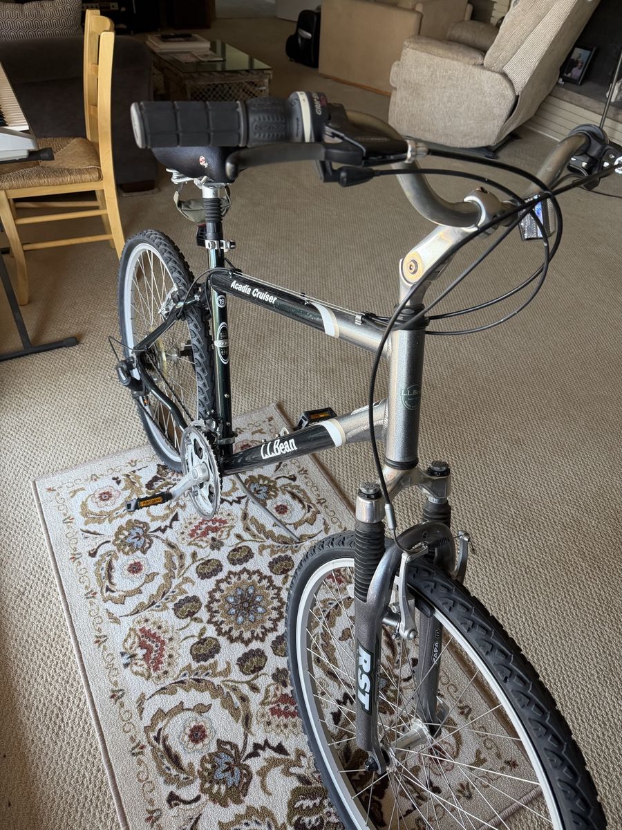 LL Bean Acadia Cruiser Mountain Bike, RST Suspension, Black/Silver