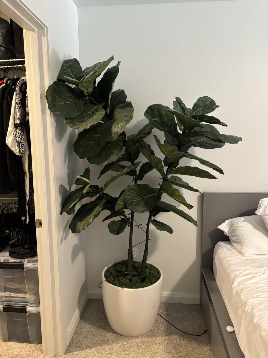 Large Artificial Fiddle Leaf Fig Tree in White Planter Pot - Realistic Faux Plant Decor