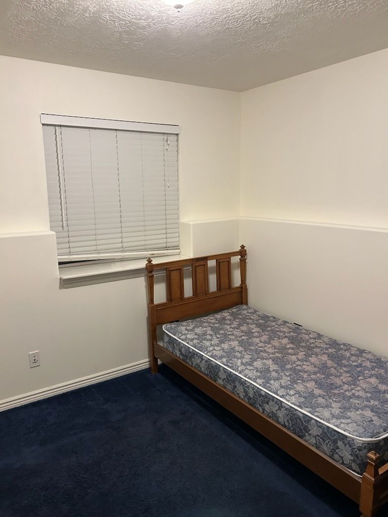 Main image 8