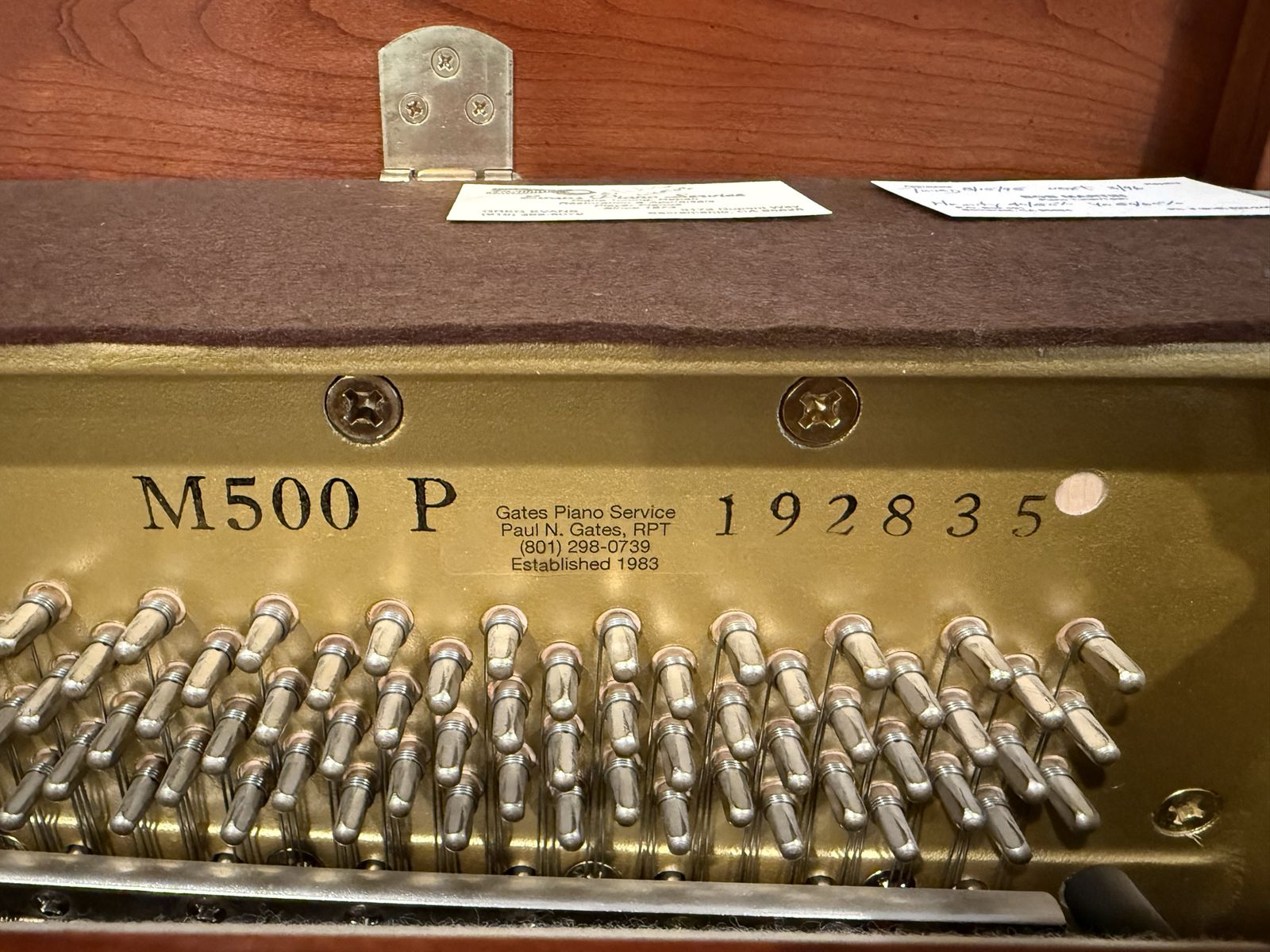 Main image 8
