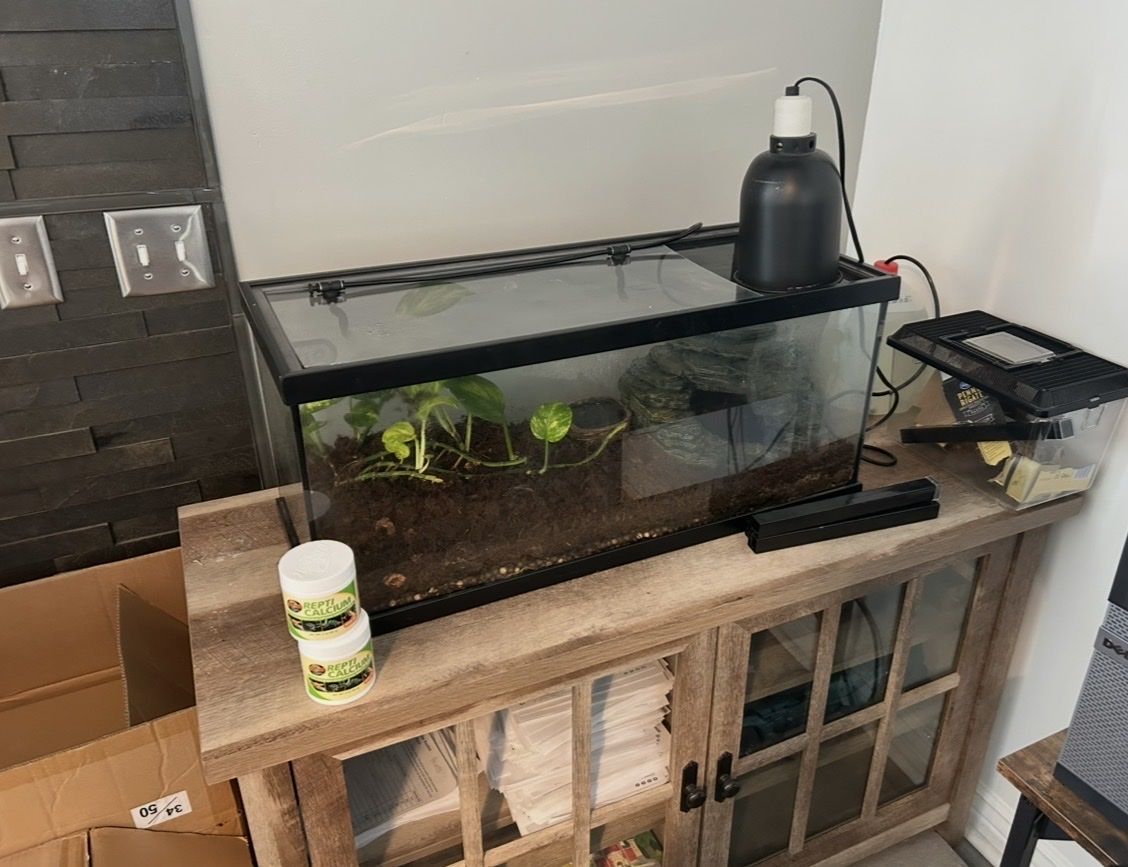 Glass Terrarium with Heat Lamp & Accessories - Perfect for Reptiles/Amphibians