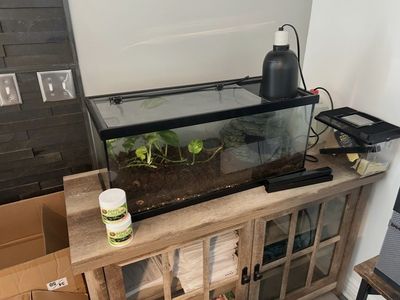 Glass Terrarium with Heat Lamp & Accessories - Perfect for Reptiles/Amphibians