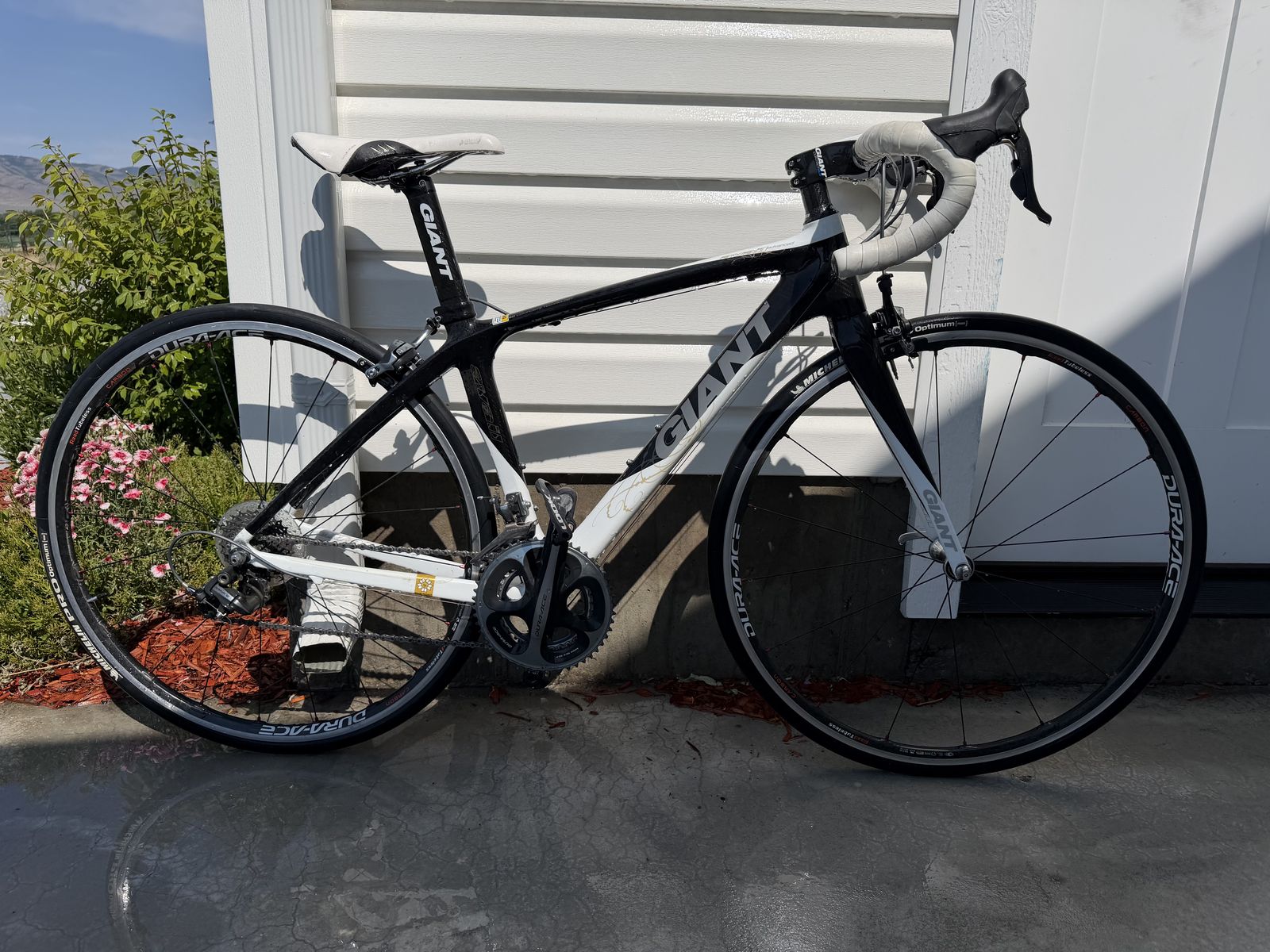 Giant Liv Avail Advanced Women's Road Bike - XS Carbon Fiber, D-Fuse, Endurance Geometry
