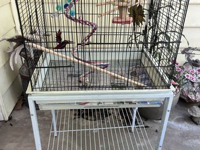 Large Bird Cage