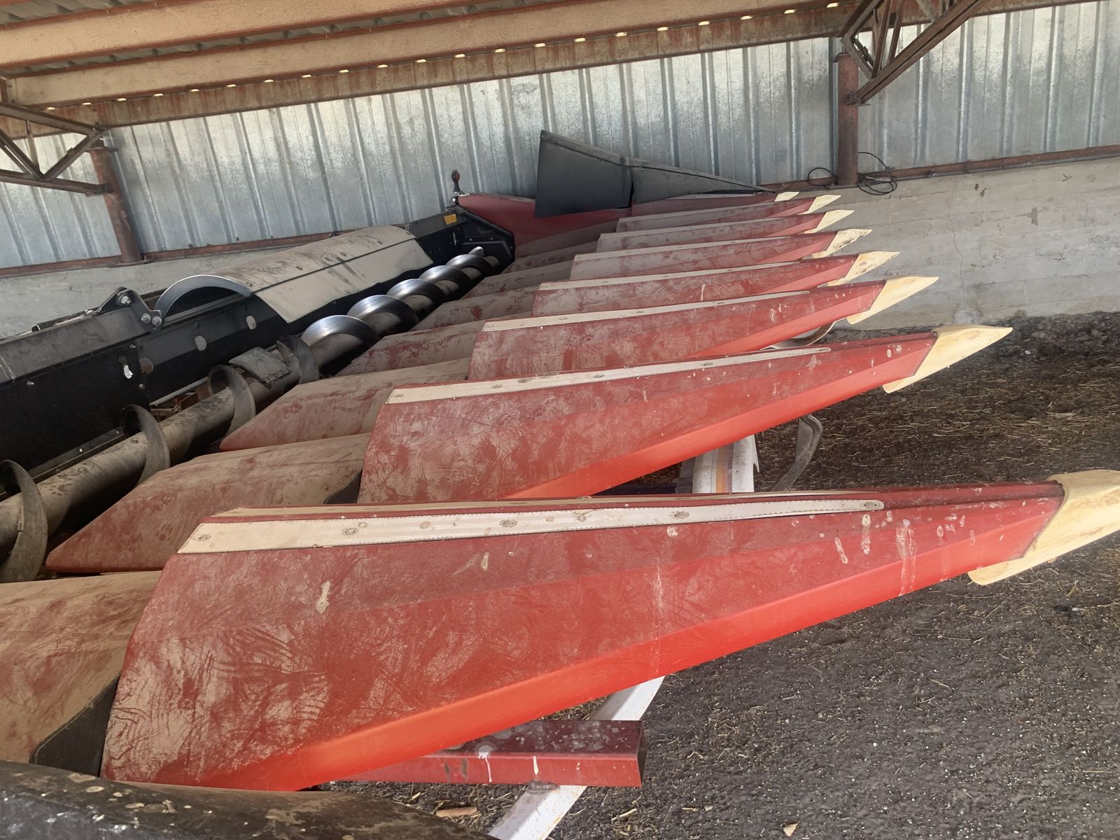 Drago 8 Row Chopping Corn Head