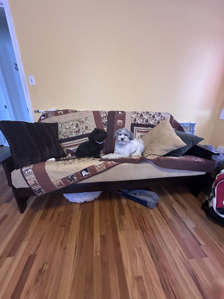 Futon with full size mattress