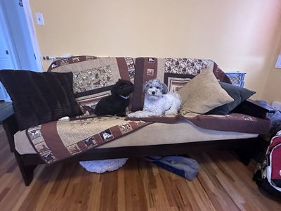 Futon with full size mattress