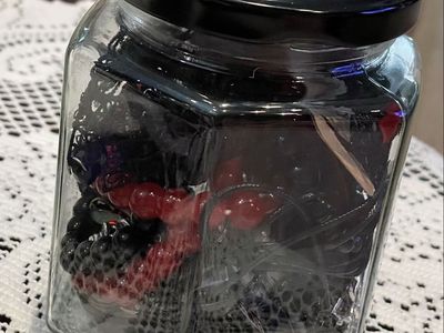 Assorted Jewelry inGlass Jar - Earrings, Bracelets, Necklaces Gothic Themed