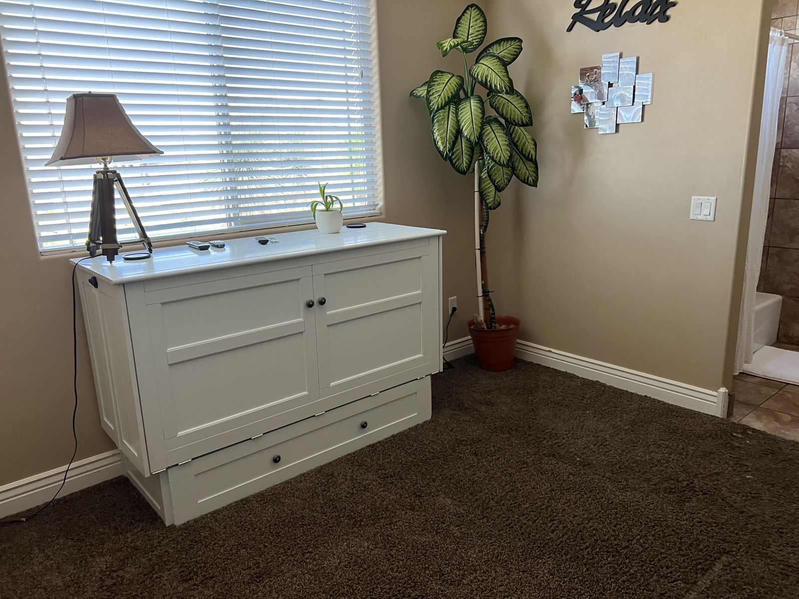 Cabinet Style Murphy Bed